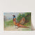 A hen and cock pheasant by gorse (1926) by Archibald Thorburn