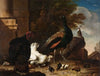 A Hen with Peacocks and a Turkey