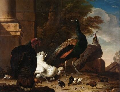 A Hen with Peacocks and a Turkey