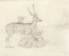 A Herd of Deer Grazing in a Park