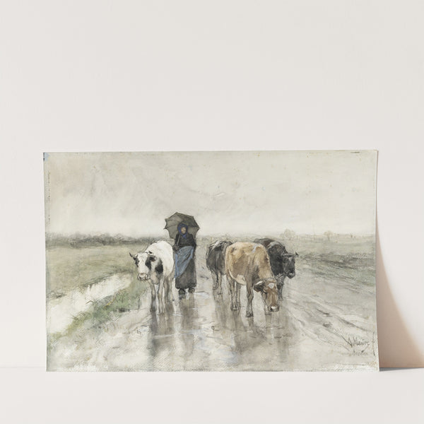 A Herdess with Cows on a Country Road in the Rain (1848 - 1888) by Anton Mauve