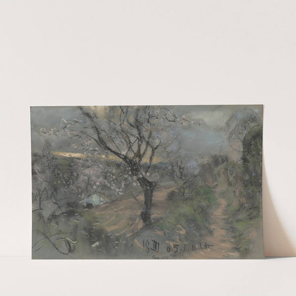 A Hillside Path with Blooming Cherry Trees under an Overcast Sky (1905) by Francesco Paolo Michetti