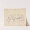A Horse Grazing by Sawrey Gilpin