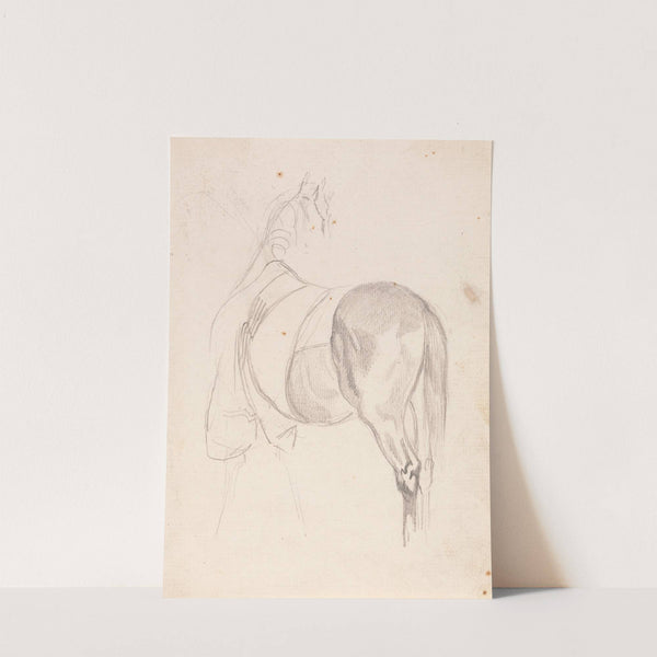 A Horse Standing, Head Turned, Wearing Quarter Sheet by Sawrey Gilpin