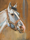 A Horse’s Head in Profile
