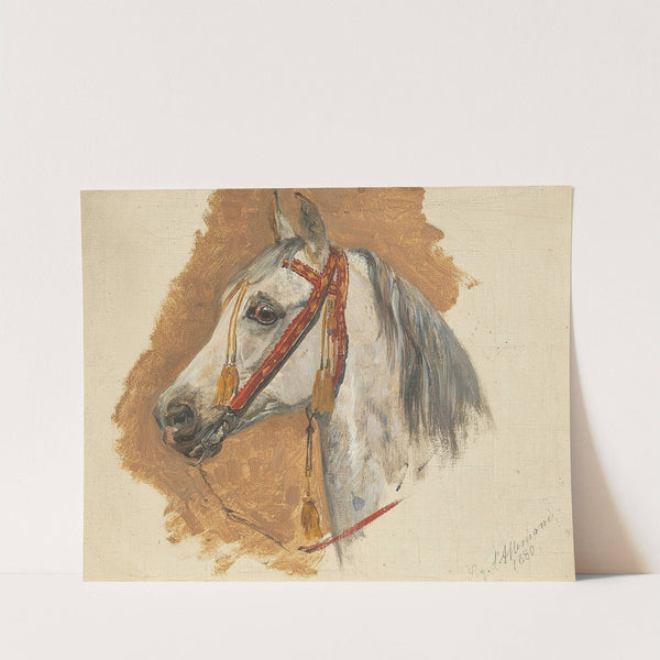 A Horse’s Head with Red Bridle by Sigmund L'Allemand