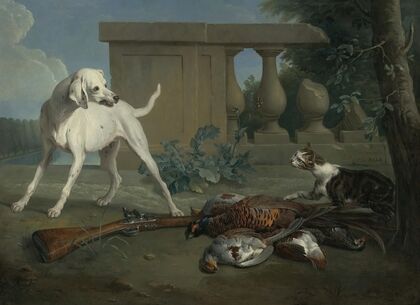 A Hound Protecting A Bag Of Game From A Cat