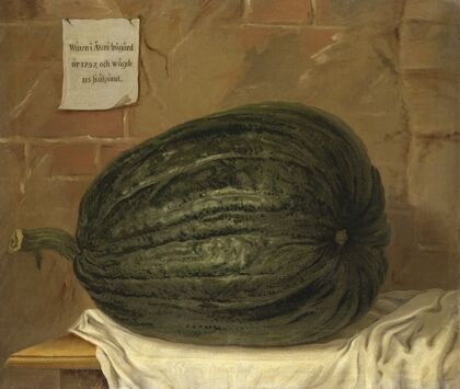 A huge pumpkin