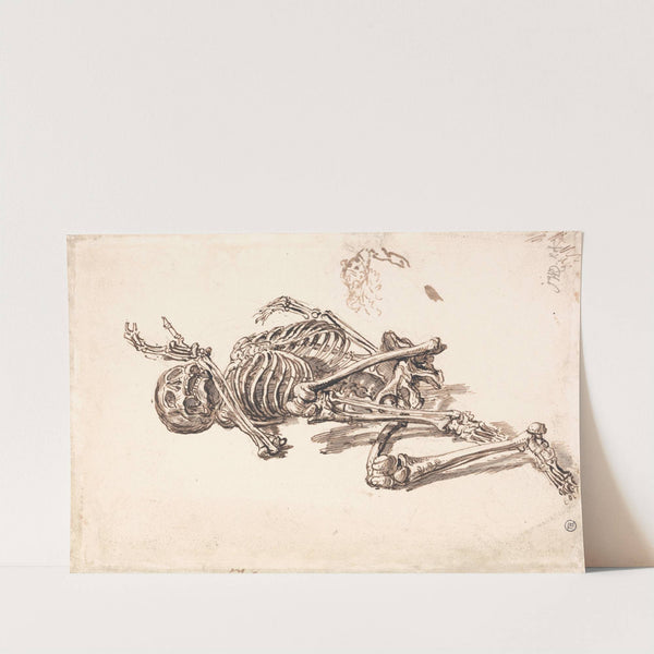 A Human Skeleton by James Ward