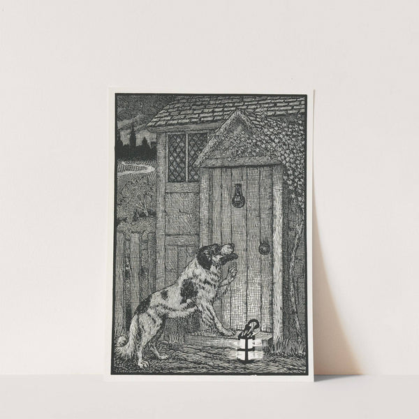 A hundred anecdotes of animals pl 003 by Percy J. Billinghurst