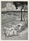 A hundred anecdotes of animals pl 020