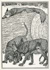A hundred anecdotes of animals pl 034