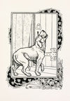 A hundred anecdotes of animals pl 035