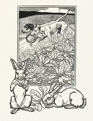 A hundred anecdotes of animals pl 056