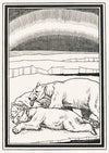 A hundred anecdotes of animals pl 059