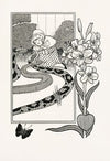 A hundred anecdotes of animals pl 061