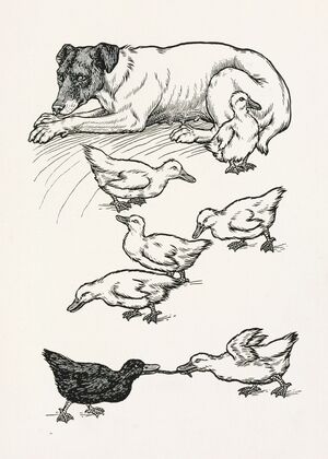 A hundred anecdotes of animals pl 065