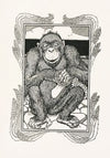 A hundred anecdotes of animals pl 074