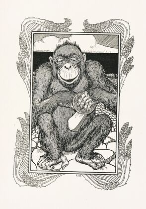 A hundred anecdotes of animals pl 074