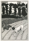 A hundred anecdotes of animals pl 096