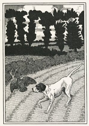 A hundred anecdotes of animals pl 096