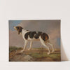 A Hunting Dog by Jacques-Laurent Agasse