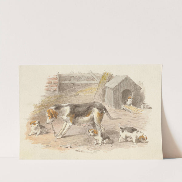 A-Hunting We Will Go (tail piece) by Alfred W. Cooper