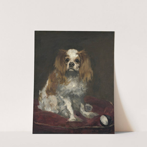 A King Charles Spaniel (c. 1866) by Édouard Manet