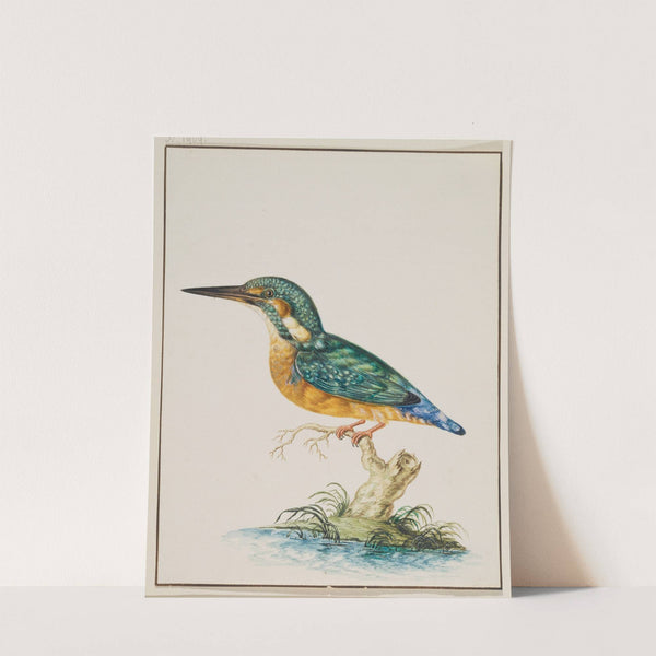 A Kingfisher by Johann Ludwig Ernst Morgenstern