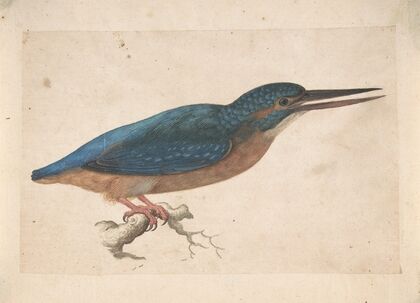 A Kingfisher on a Branch — size preview