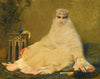 A Lady Of Smyrna