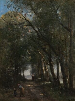 A Lane through the Trees