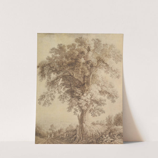 A Large Tree at Albano by Jakob Philipp Hackert
