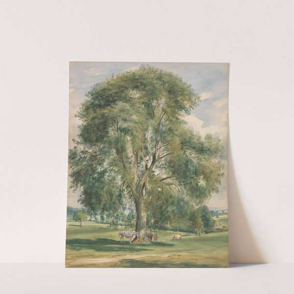 A Large Tree in a Summer Landscape, a Horse Standing at the Base by Lionel Constable