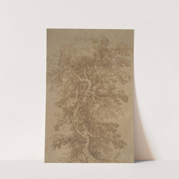 A Large Tree by Salvator Rosa