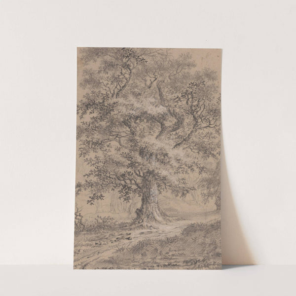 A Leafy Oak by a Woodland Path by Johann Caspar Huber