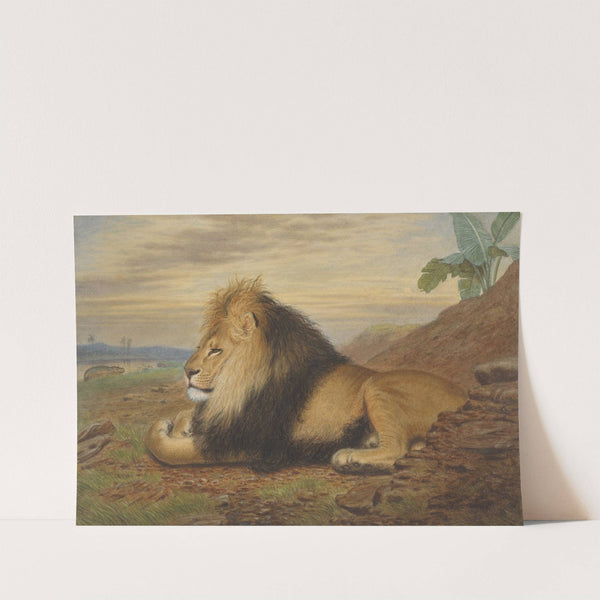 A Lion by Thomas William Wood