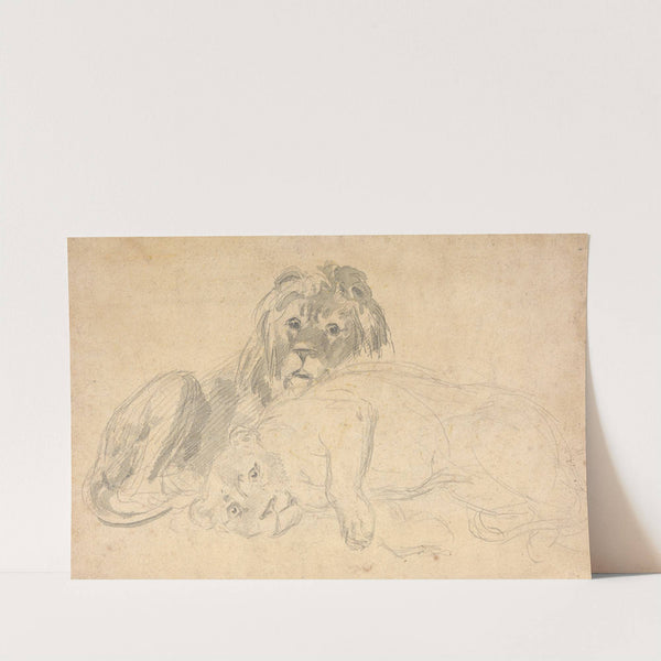 A Lion and His Mate by Sawrey Gilpin