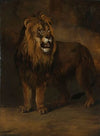 A Lion from the Menagerie of King Louis Napoleon, 1808