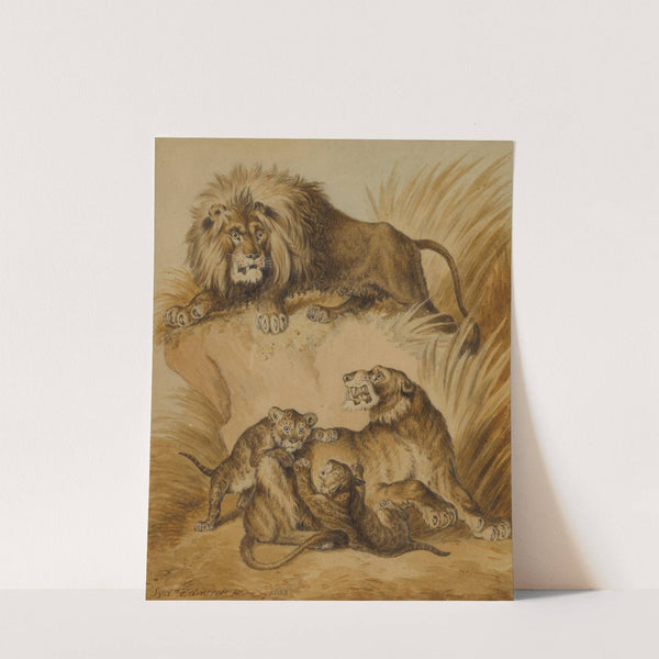A Lion, Lioness and two cubs by Sydenham Edwards
