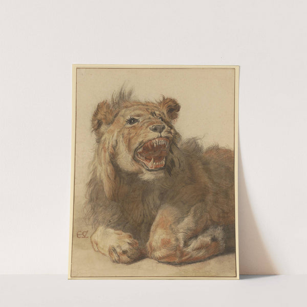 A Lion Snarling (1625–1633) by Cornelis Saftleven