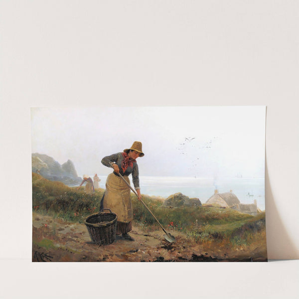 A Little Potato Garden, Cornish Coast by Richard Harry Carter