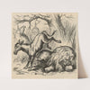 A live jackass kicking a dead lion (1870) by Thomas Nast