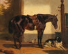 A Loyal Friend in the Horse Stable