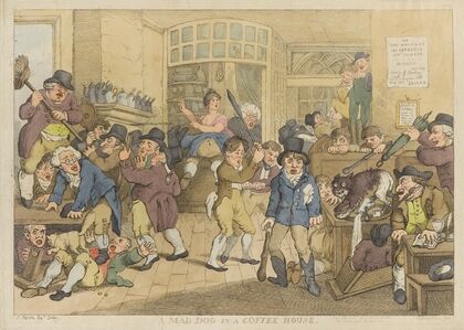A mad dog in a coffee house (1809)