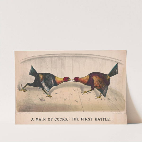 A main of cocks,–the first battle by Currier & Ives.