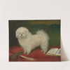 A Maltese on a Red Table Cloth (19th Century) by English School