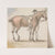A Man and a Saddled Horse by Paul Sandby