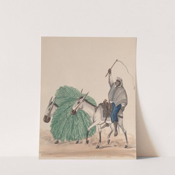 A man riding a mule, his whip raised, another mule loaded with grass alongside by Francisco Fierro