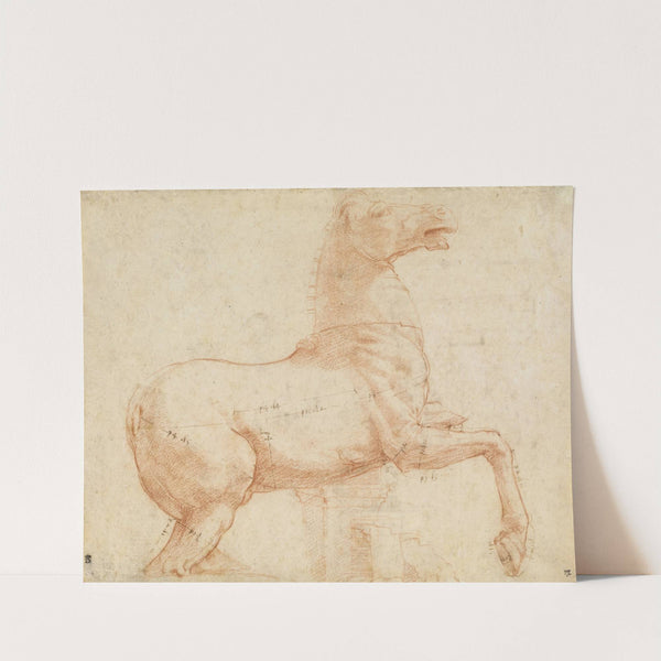 A Marble Horse on the Quirinal Hill (recto) by Raphael